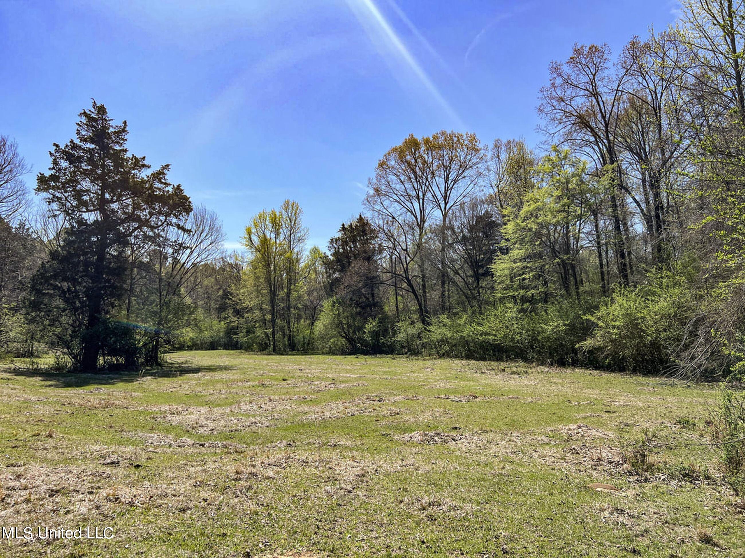 753 Oak Grove Road Charleston, MS 38921 - Photo 63 of 98 9awry80