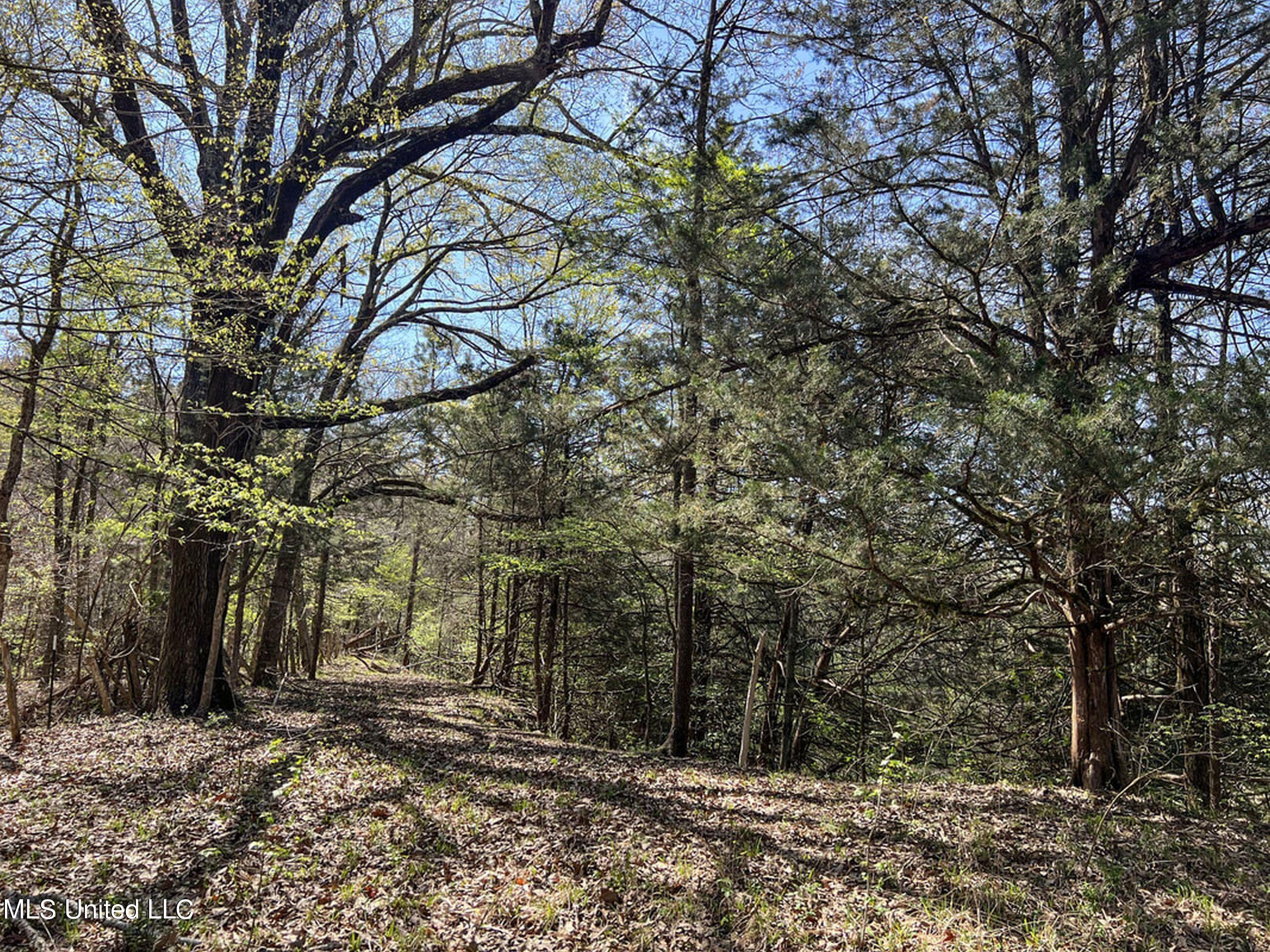753 Oak Grove Road Charleston, MS 38921 - Photo 64 of 98 9awry81
