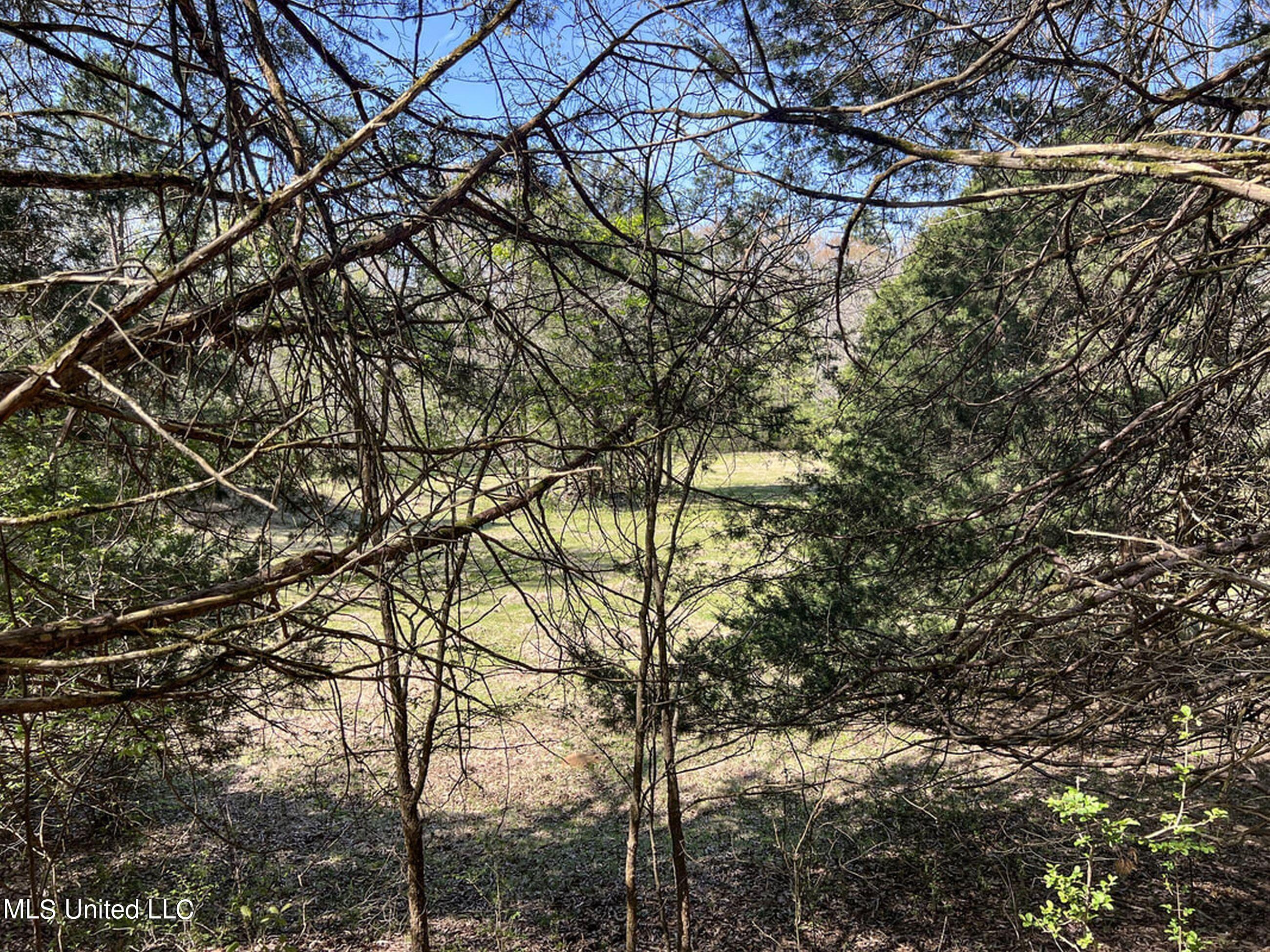 753 Oak Grove Road Charleston, MS 38921 - Photo 65 of 98 9awry82