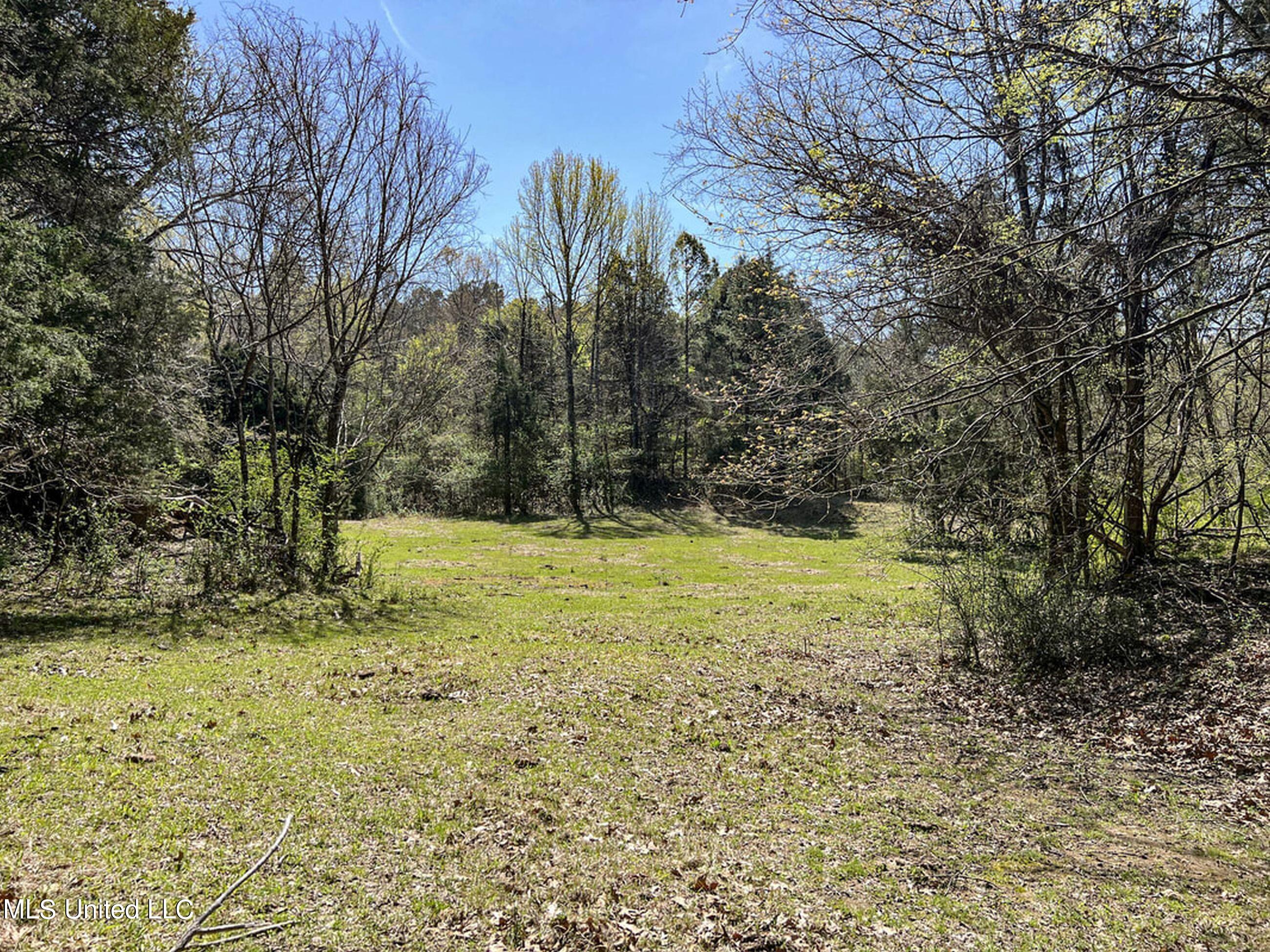 753 Oak Grove Road Charleston, MS 38921 - Photo 66 of 98 9awry83
