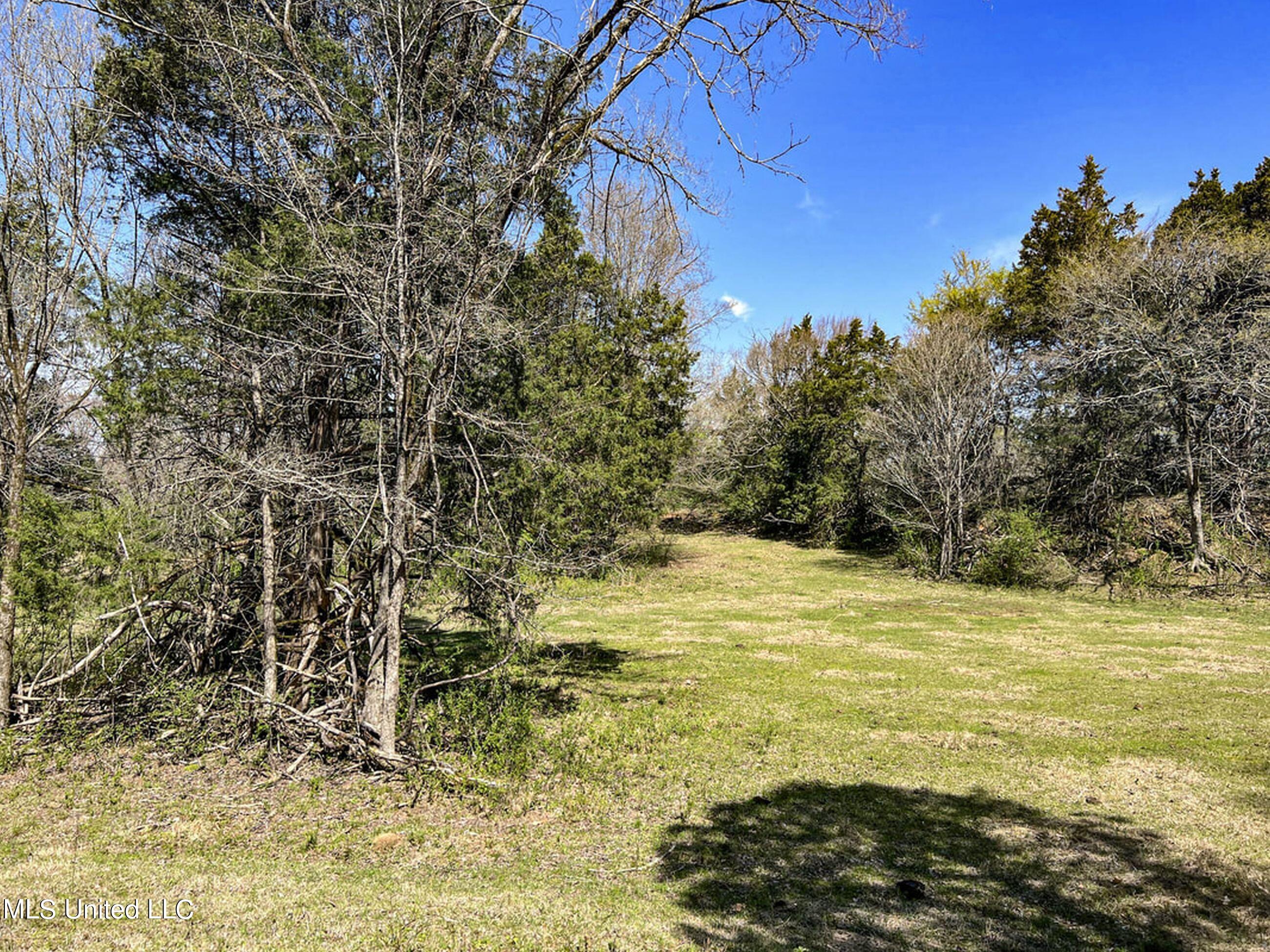 753 Oak Grove Road Charleston, MS 38921 - Photo 67 of 98 9awry85