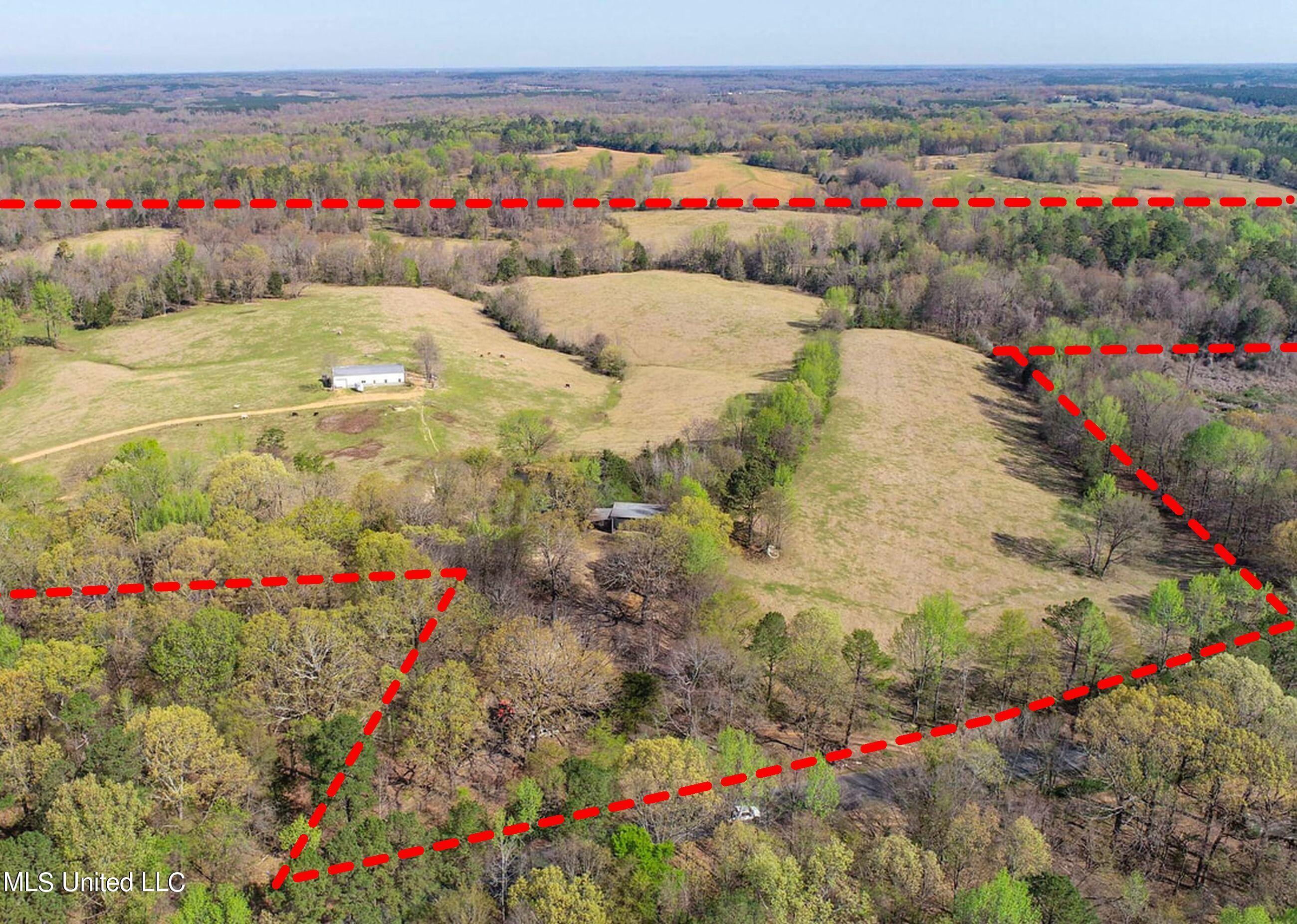 753 Oak Grove Road Charleston, MS 38921 - Photo 7 of 98 9awry11