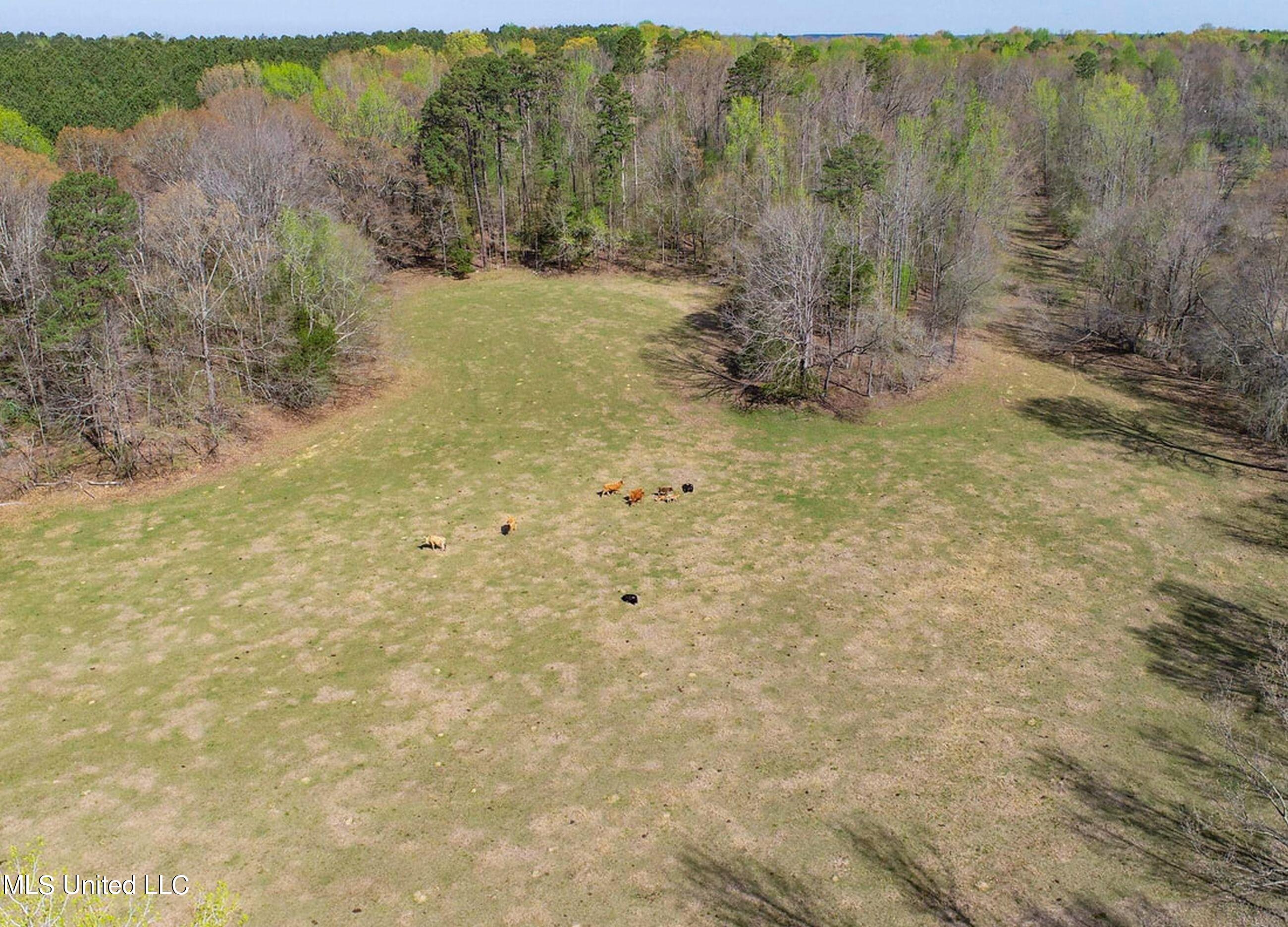 753 Oak Grove Road Charleston, MS 38921 - Photo 8 of 98 9awry12
