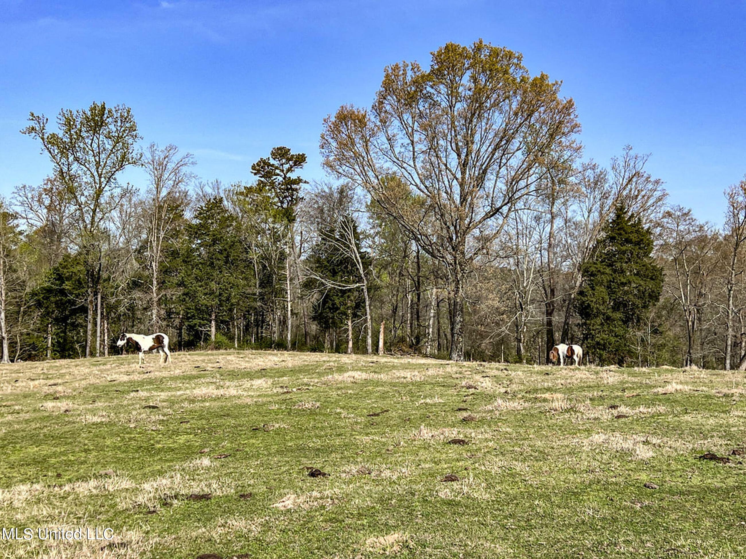 753 Oak Grove Road Charleston, MS 38921 - Photo 81 of 98 9awry104