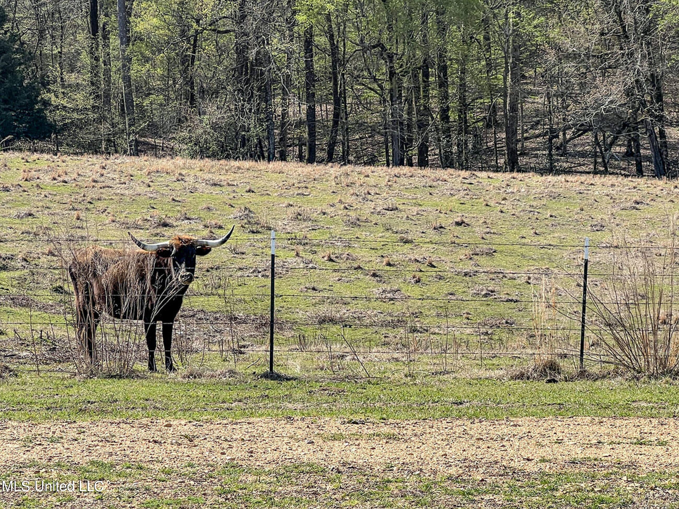 753 Oak Grove Road Charleston, MS 38921 - Photo 83 of 98 9awry107