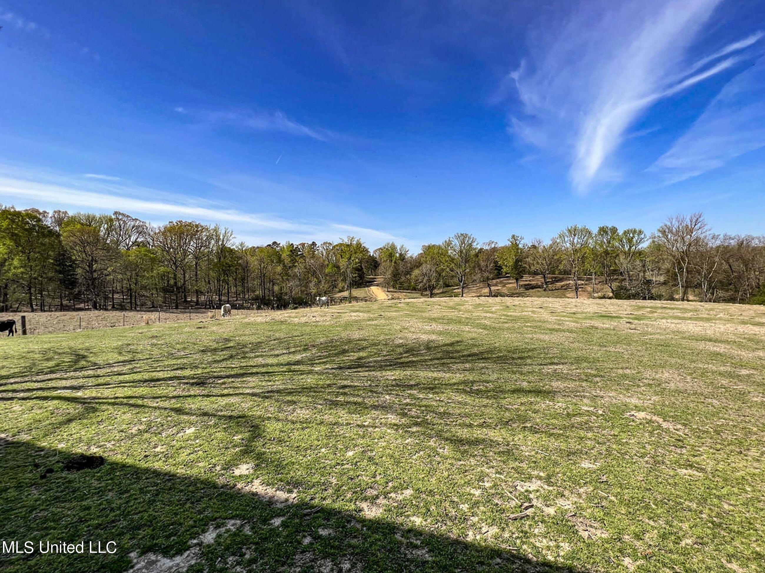 753 Oak Grove Road Charleston, MS 38921 - Photo 84 of 98 9awry108
