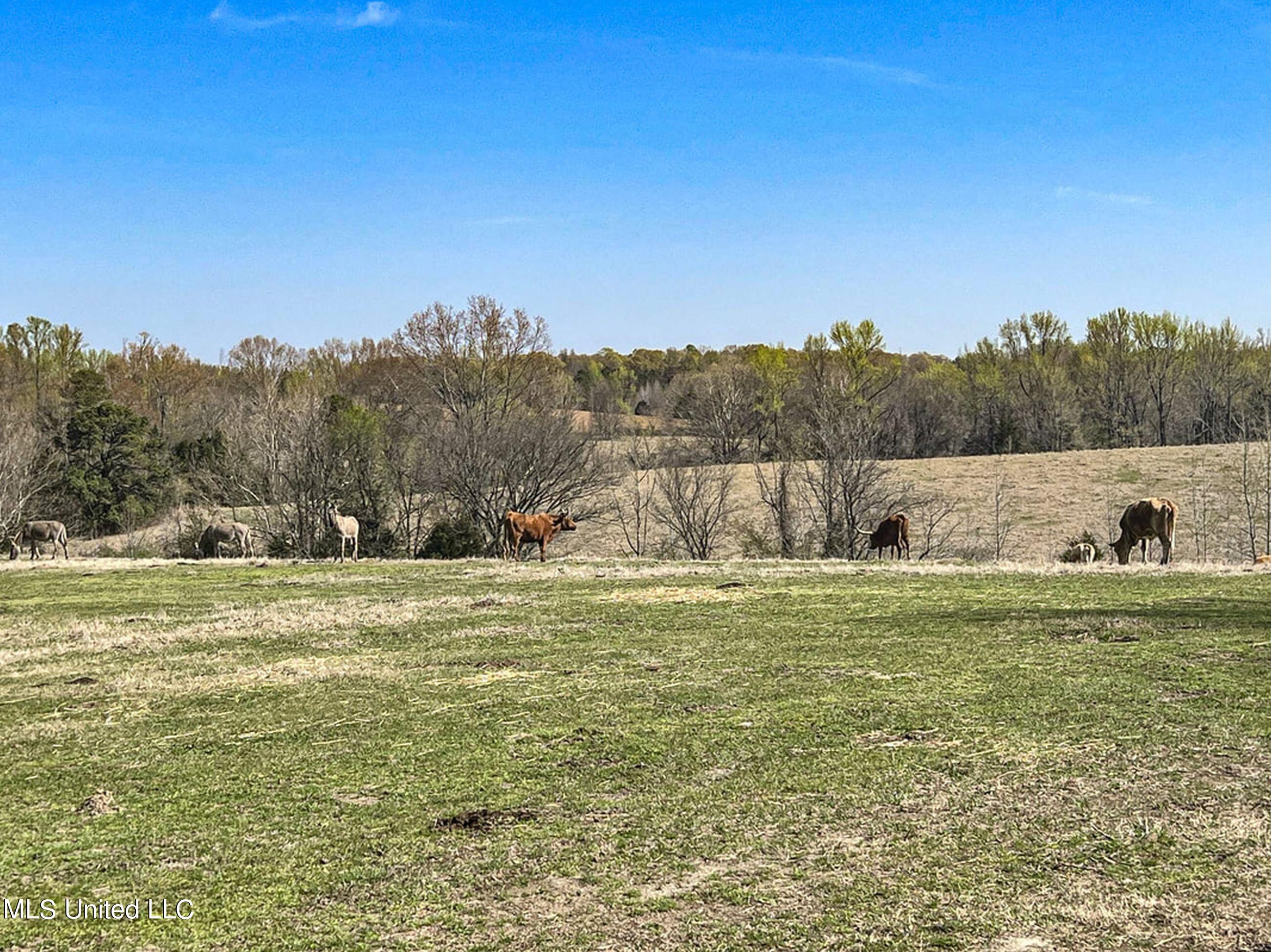 753 Oak Grove Road Charleston, MS 38921 - Photo 85 of 98 9awry109