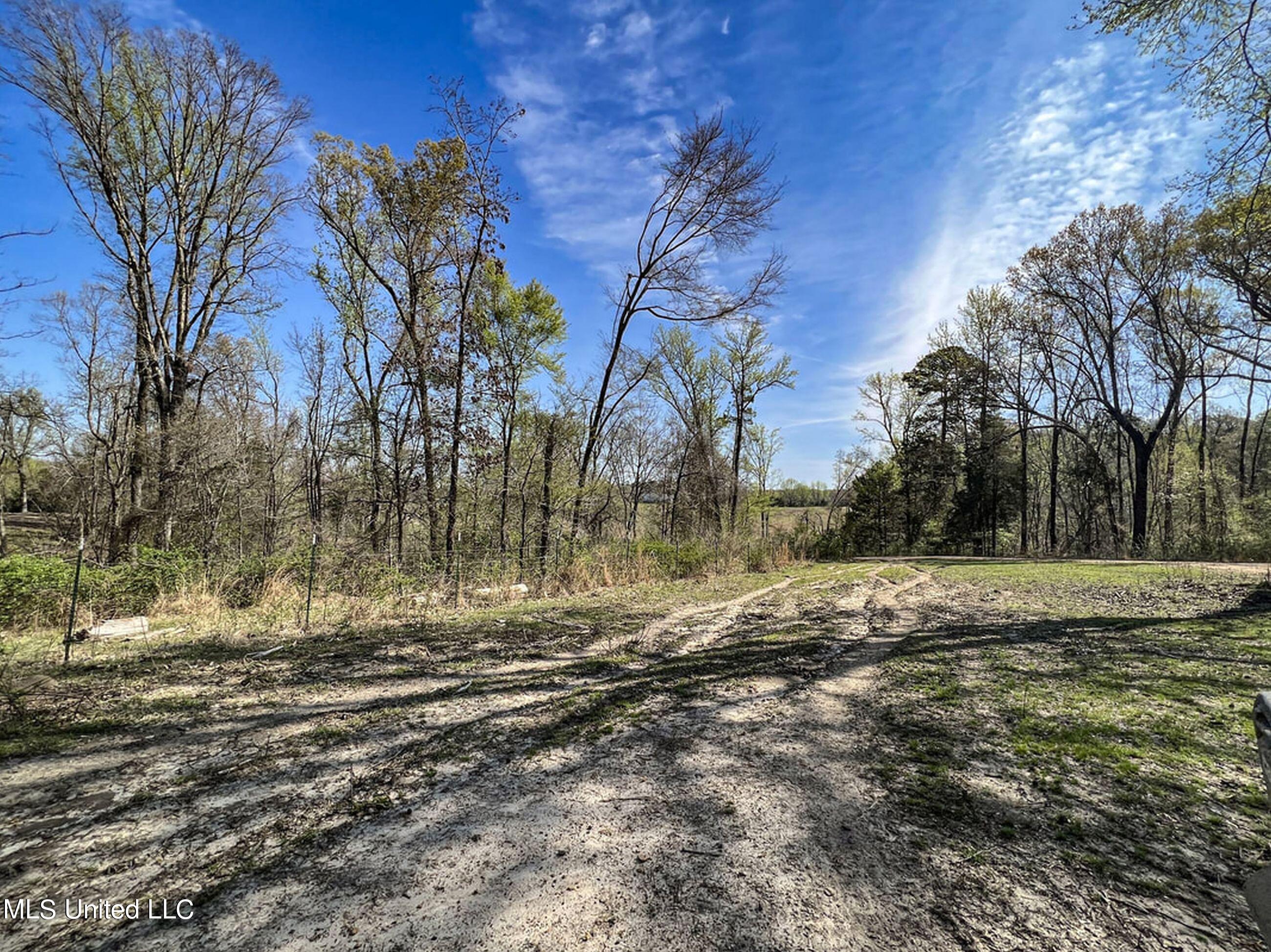 753 Oak Grove Road Charleston, MS 38921 - Photo 86 of 98 9awry110