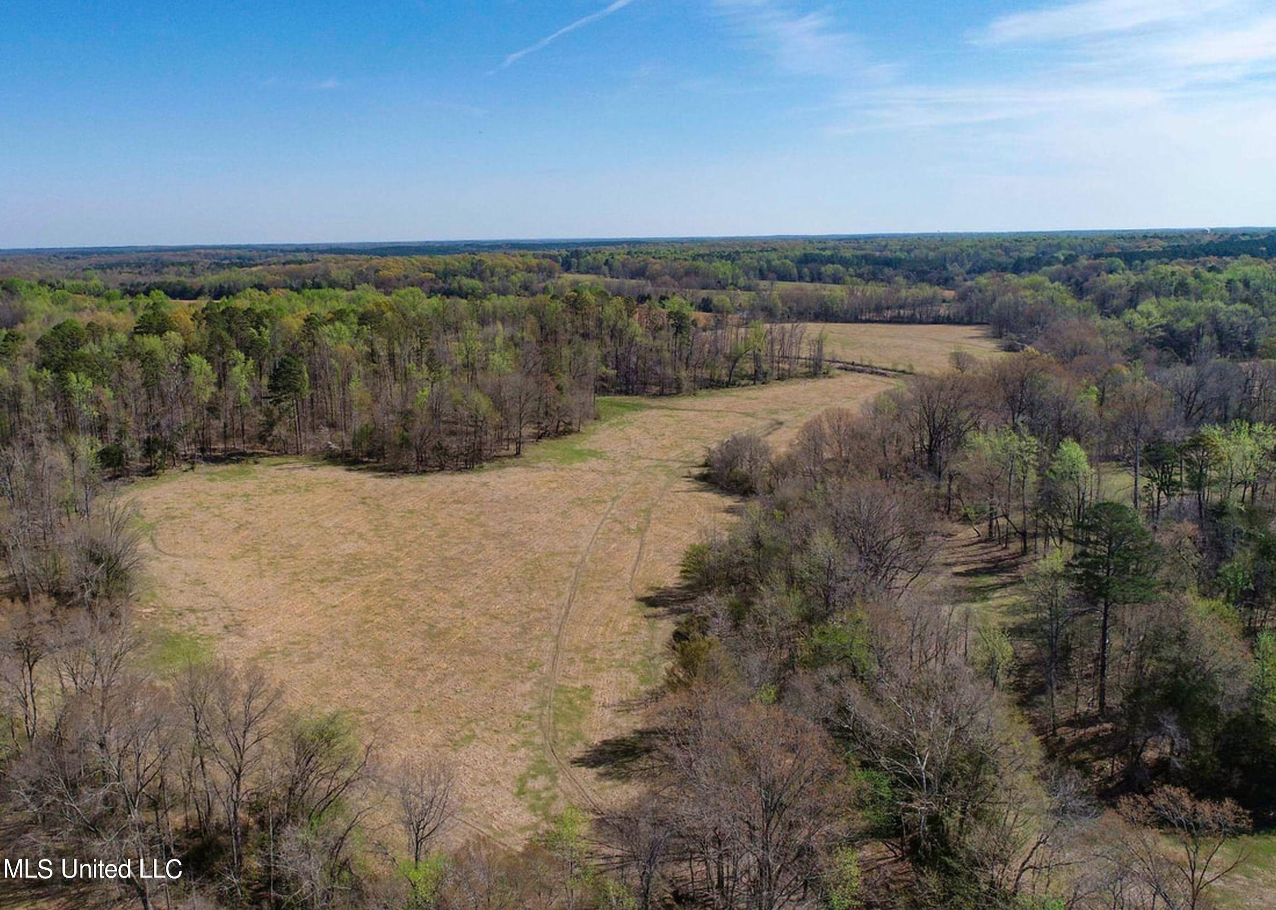 753 Oak Grove Road Charleston, MS 38921 - Photo 9 of 98 9awry13