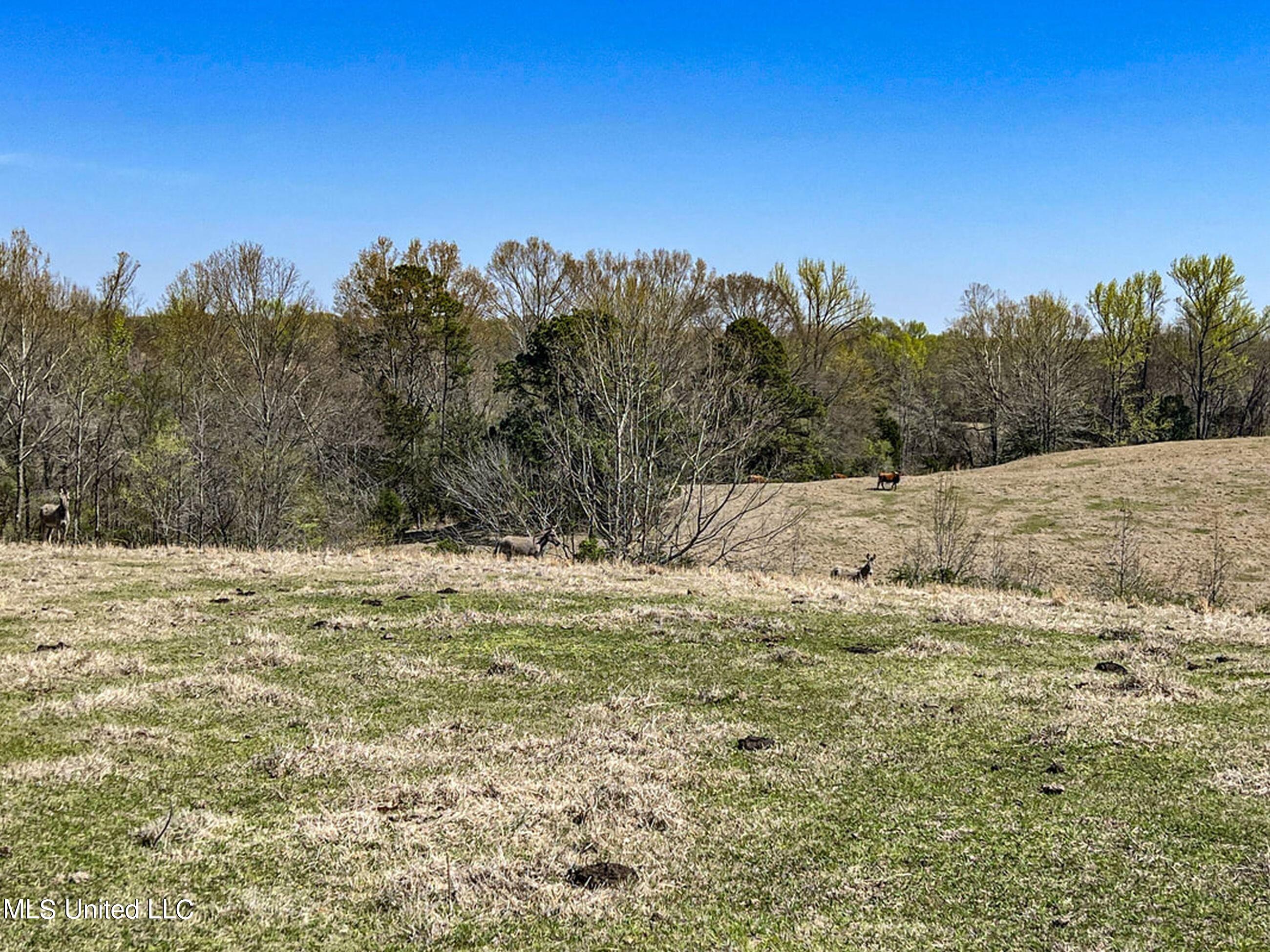 753 Oak Grove Road Charleston, MS 38921 - Photo 91 of 98 9awry118