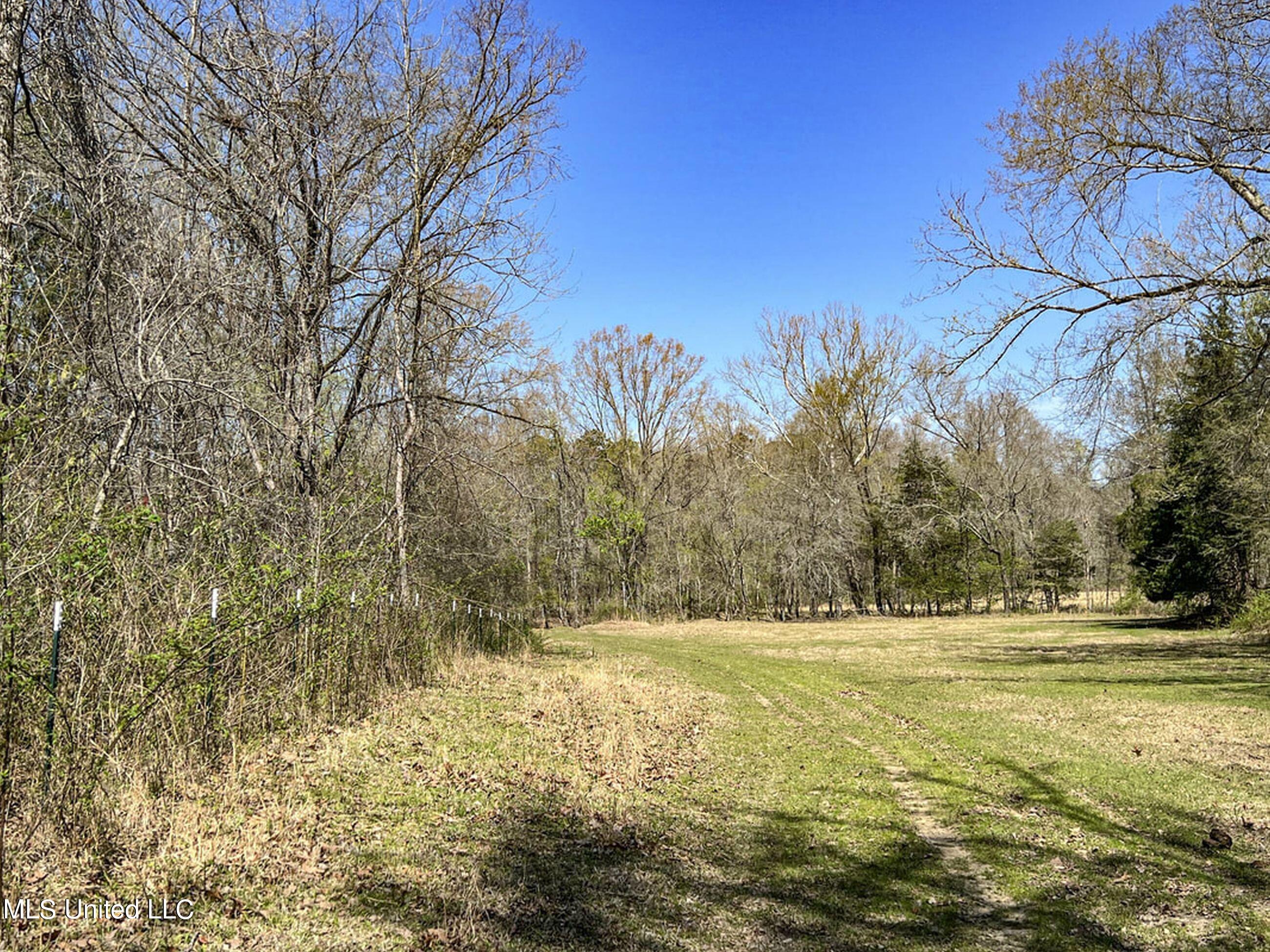 753 Oak Grove Road Charleston, MS 38921 - Photo 92 of 98 9awry119