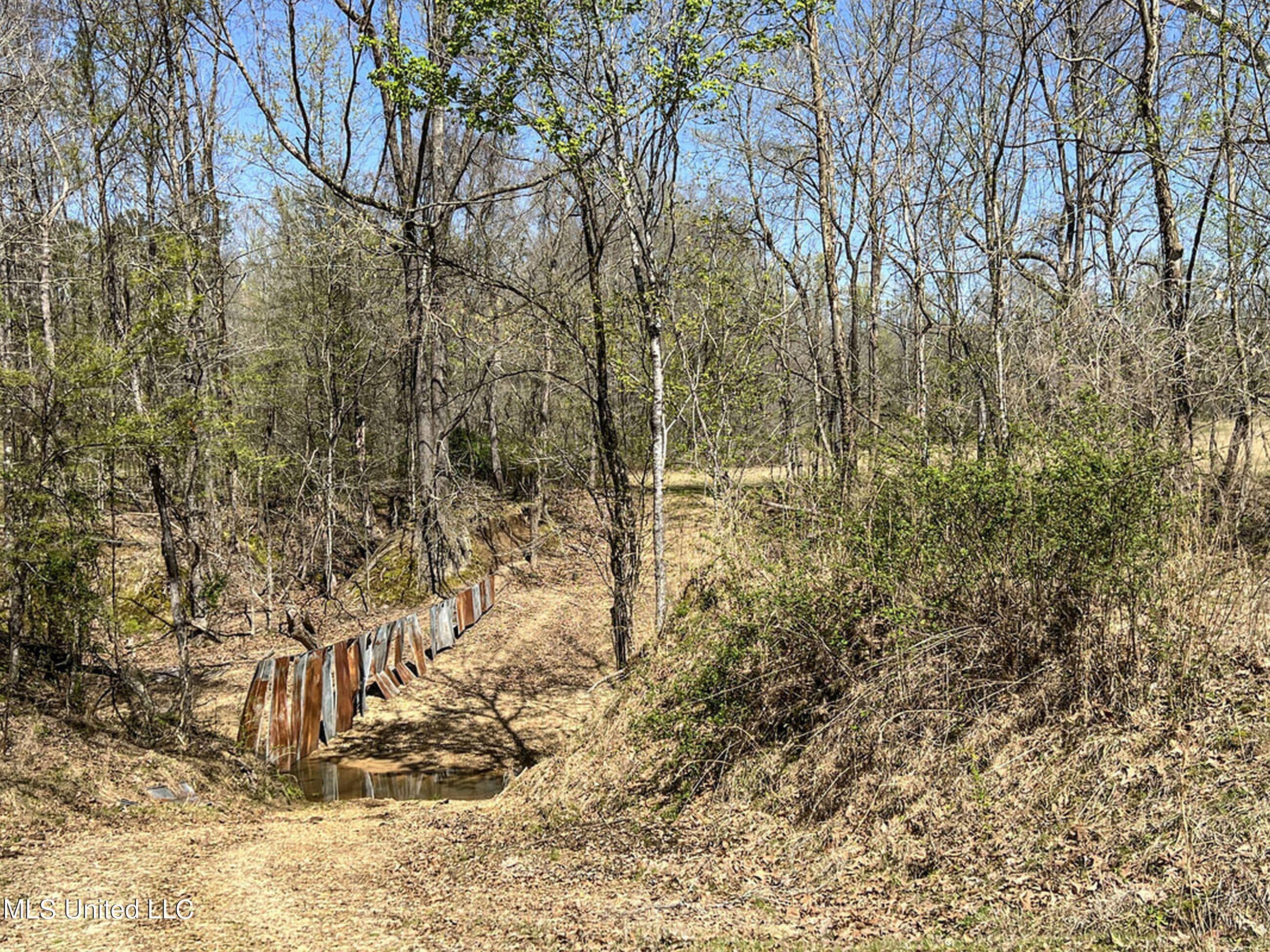 753 Oak Grove Road Charleston, MS 38921 - Photo 93 of 98 9awry120