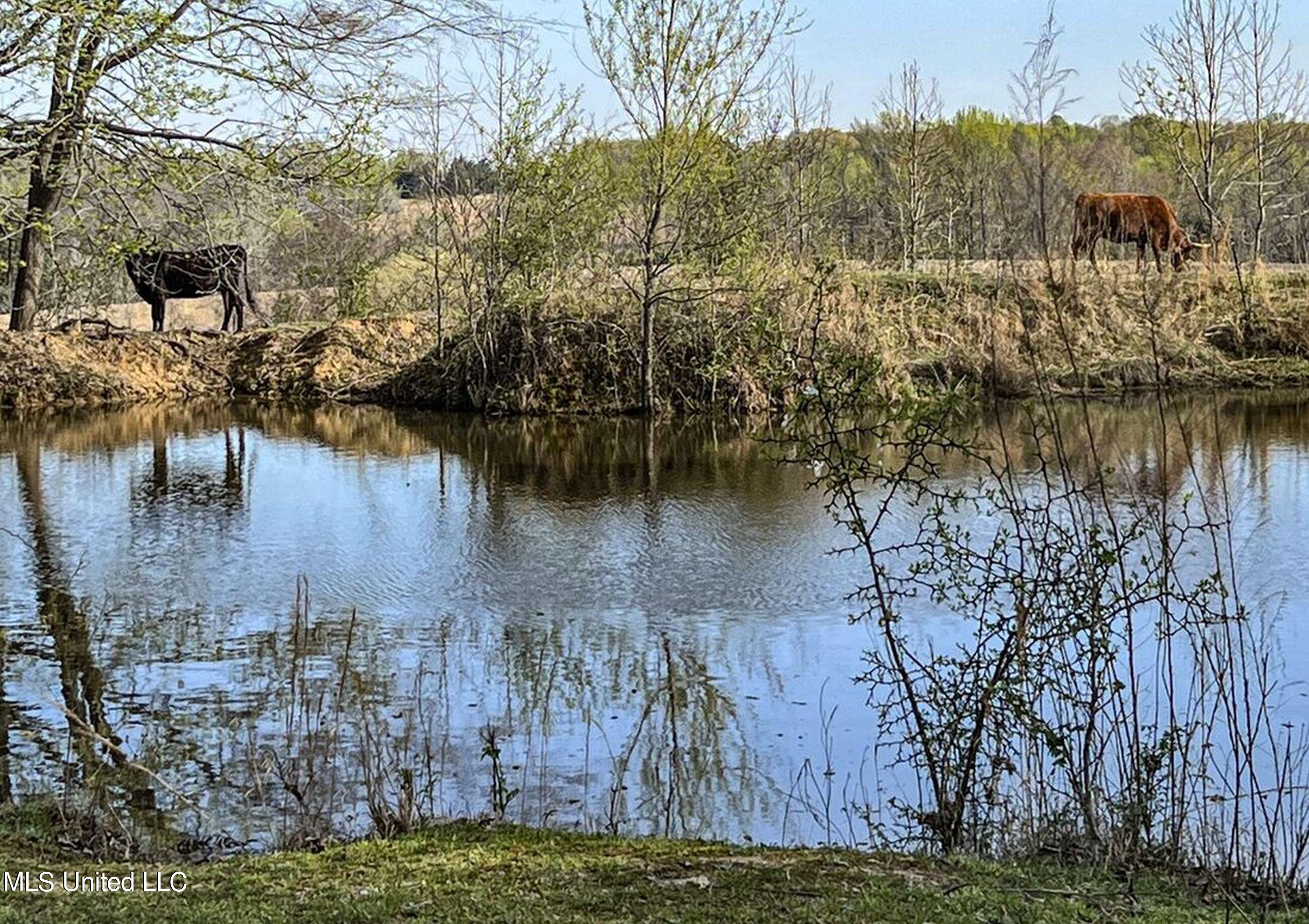 753 Oak Grove Road Charleston, MS 38921 - Photo 98 of 98 9awry112