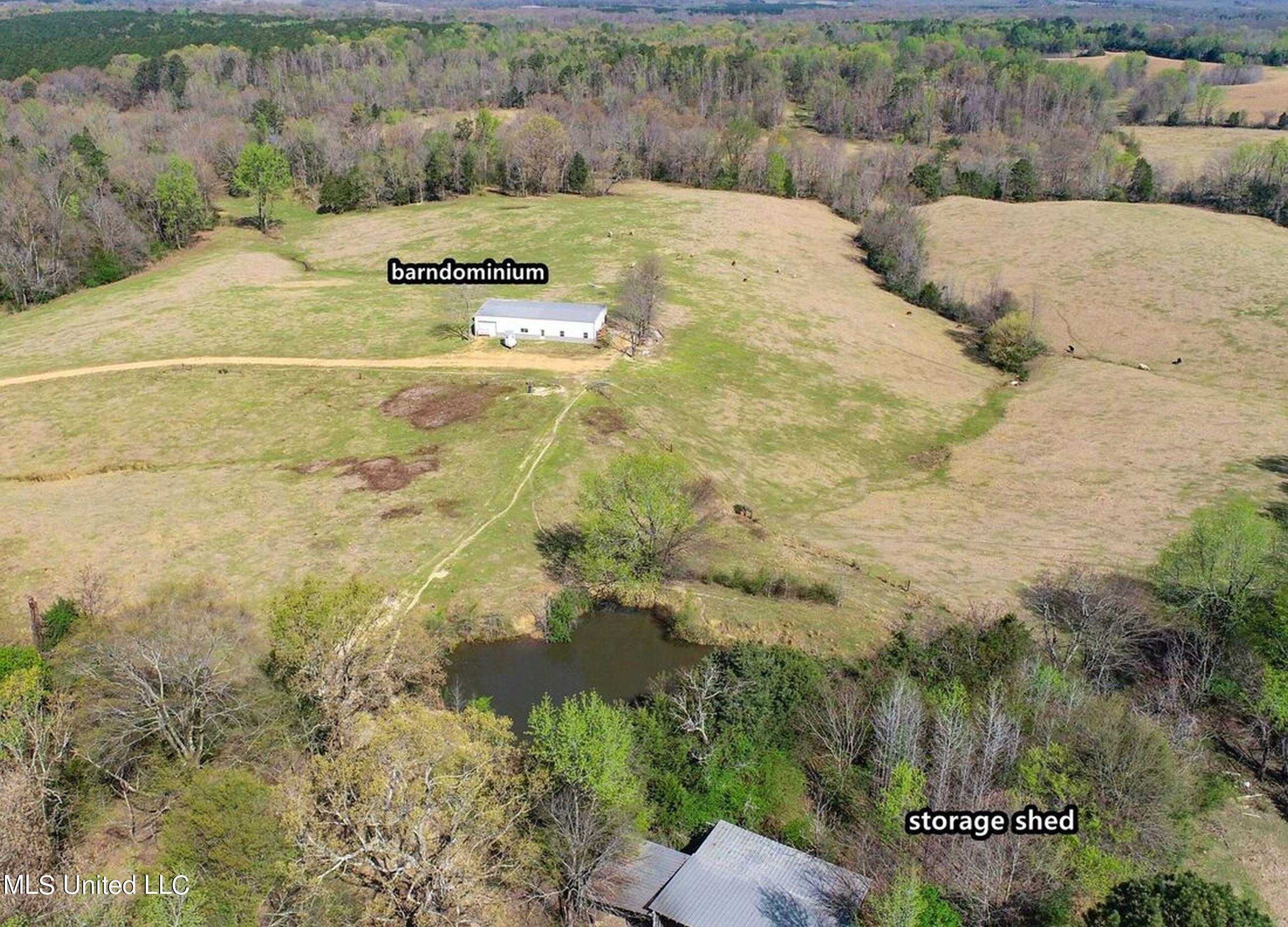 753 Oak Grove Road Charleston, MS 38921 - Photo 10 of 98 9awry14