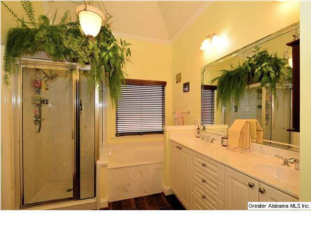 389 Deer Ridge Lane Chelsea, AL 35043 - Photo 13 of 31
