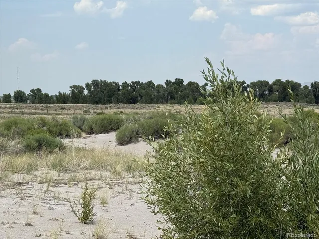 a view of a lake from a yard