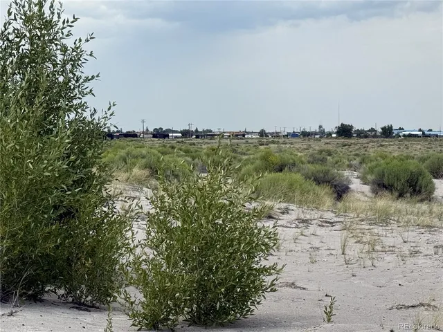 a view of a forest with a yard