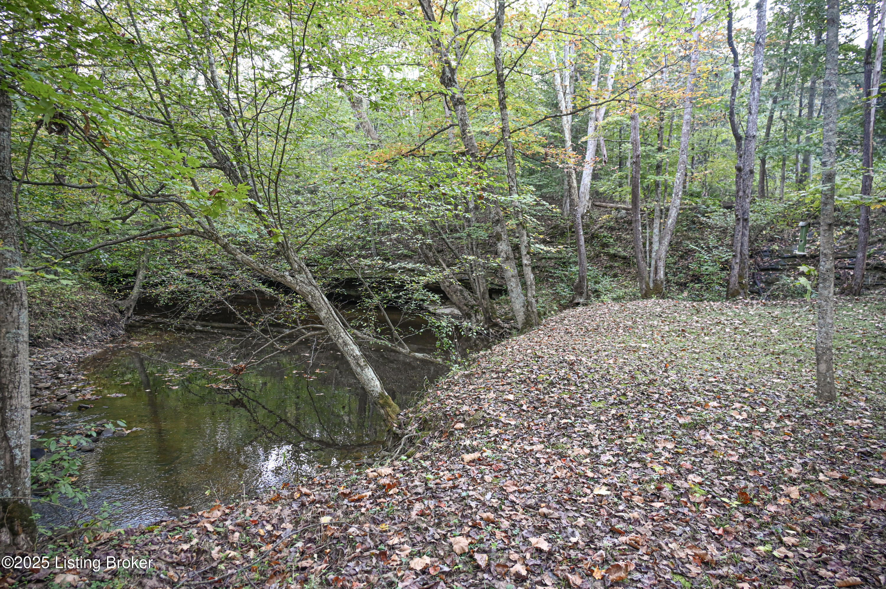981 Limp Road Big Clifty, KY 42712 - Photo 26 of 44 30-DSC_0844