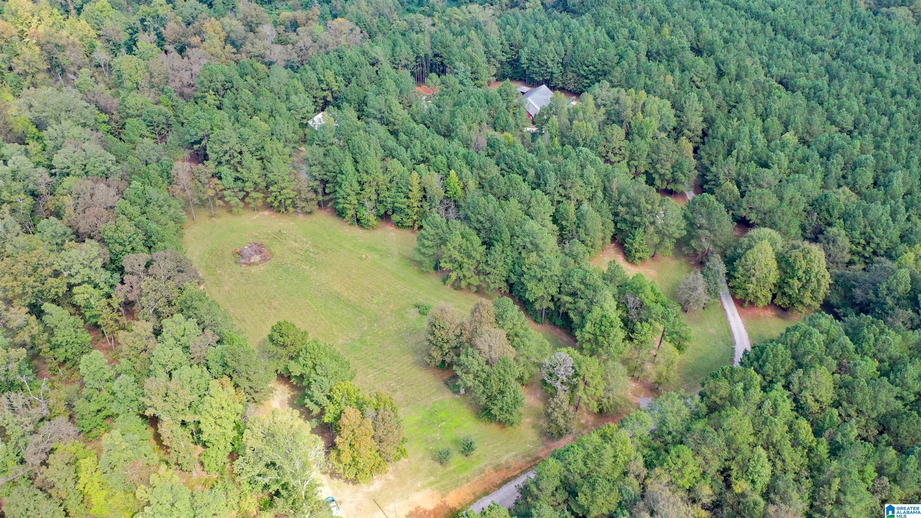 0 Alston Farm Road Columbiana, AL 35051 - Photo 2 of 4