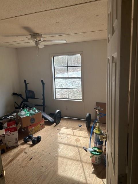 7420 Tribble Gap Road Alto, GA 30510 - Photo 19 of 20