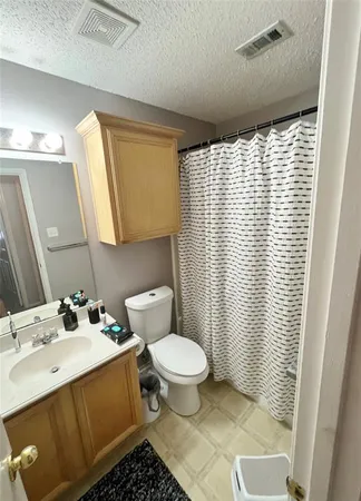 a bathroom with a sink a toilet a mirror and shower curtain