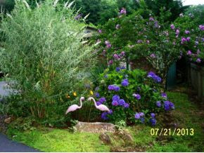 3245 Fall Branch Road Mountain City, TN 37683 - Photo 17 of 19 Landscaping