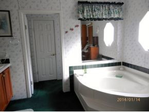 3245 Fall Branch Road Mountain City, TN 37683 - Photo 8 of 19 Master BA