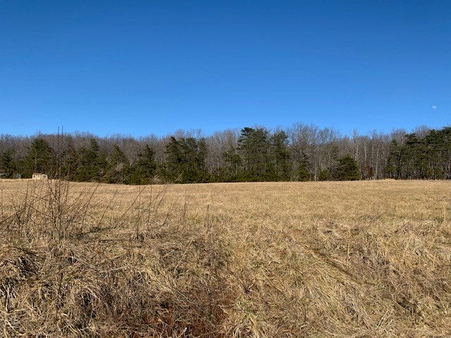 292 Mountain Vw Road Appomattox, VA 24522 - Photo 3 of 12 Gallery Image 3