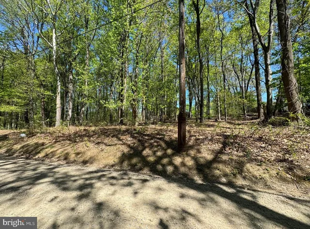 a view of outdoor space with trees