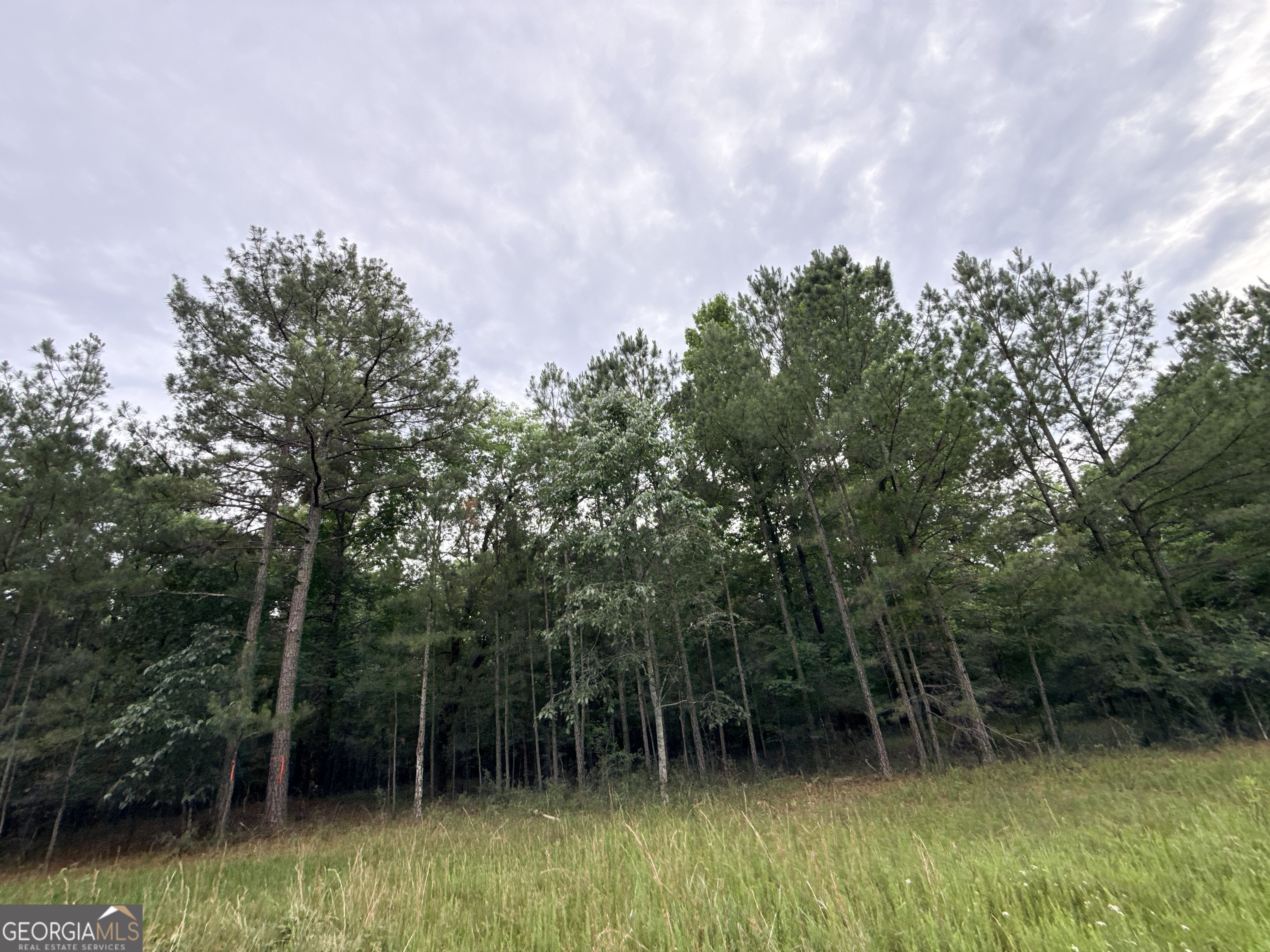 2 Bethesda Church Road Lexington, GA 30648 - Photo 6 of 66