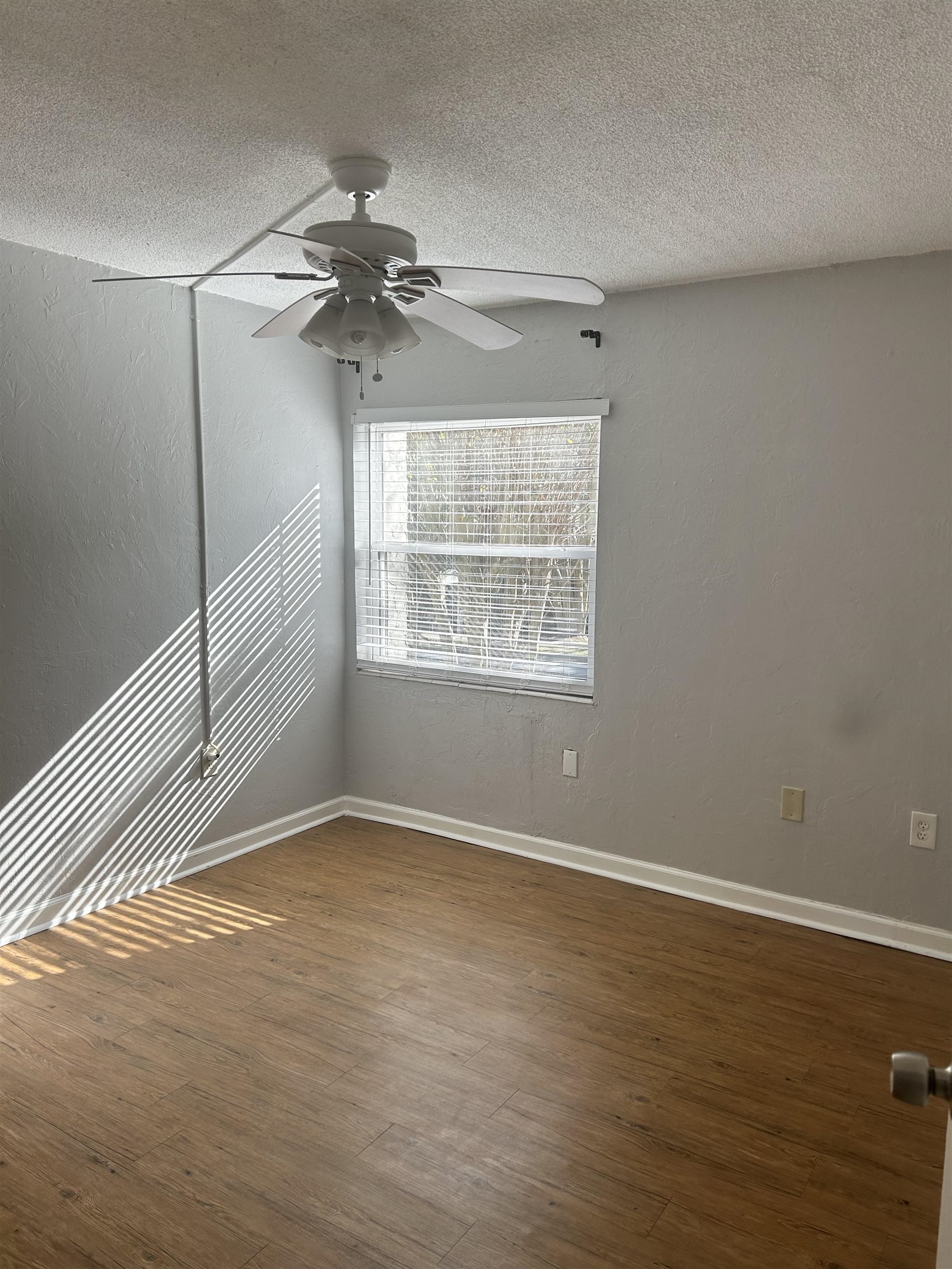 Undisclosed Address Tallahassee, FL 32301 - Photo 7 of 8