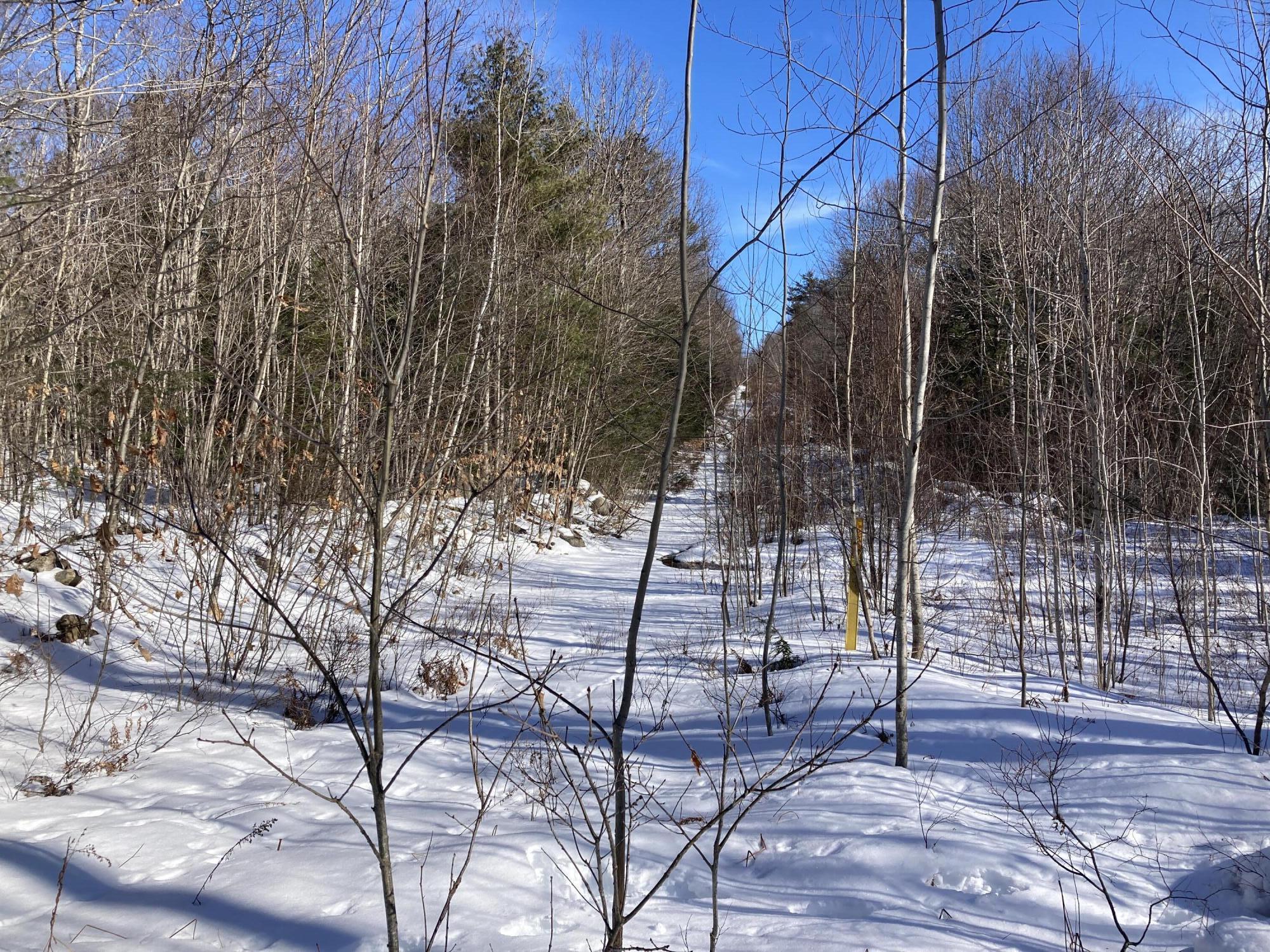 M7-l99h Bolton Hill Road Augusta, ME 04330 - Photo 8 of 30 21 CMP easement in winter