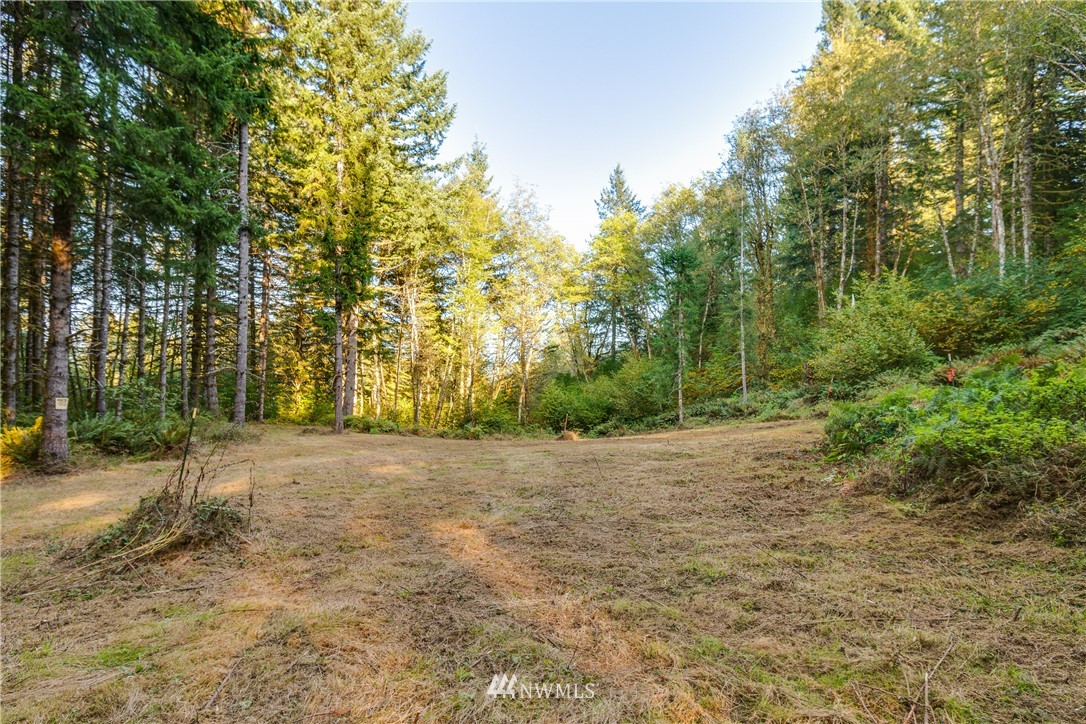 603 Yale Bridge Road Ariel, WA 98603 - Photo 1 of 28 Gallery Image 1