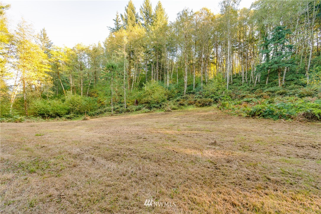 603 Yale Bridge Road Ariel, WA 98603 - Photo 2 of 28 Gallery Image 2