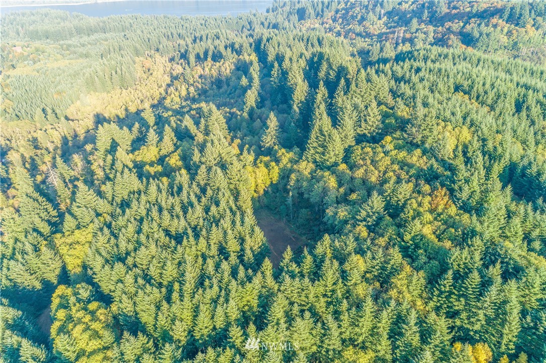 603 Yale Bridge Road Ariel, WA 98603 - Photo 11 of 28 Gallery Image 11