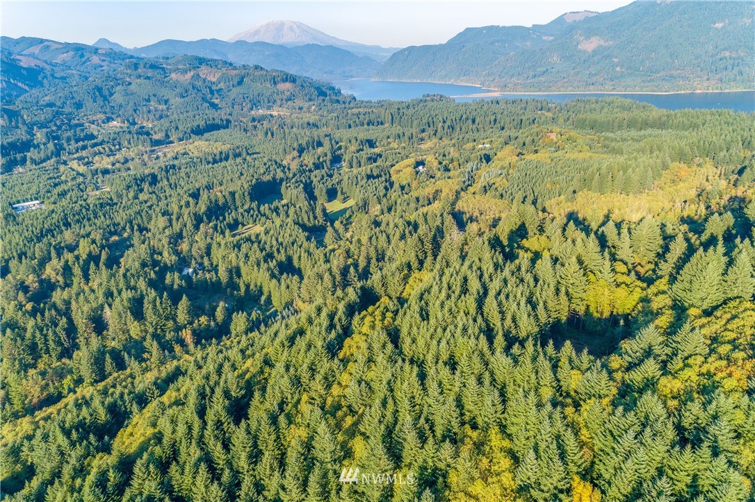 603 Yale Bridge Road Ariel, WA 98603 - Photo 12 of 28 Gallery Image 12