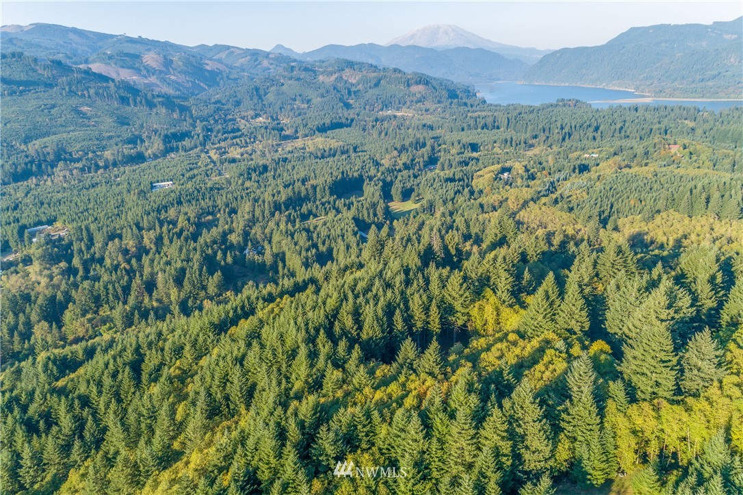 603 Yale Bridge Road Ariel, WA 98603 - Photo 13 of 28 Gallery Image 13