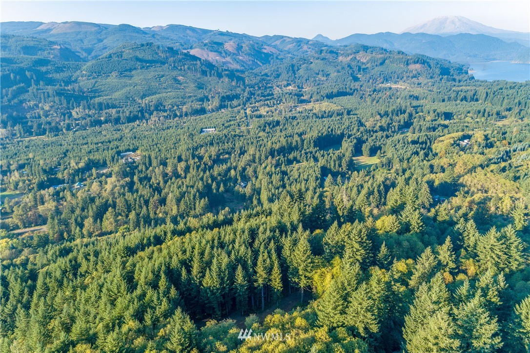 603 Yale Bridge Road Ariel, WA 98603 - Photo 14 of 28 Gallery Image 14