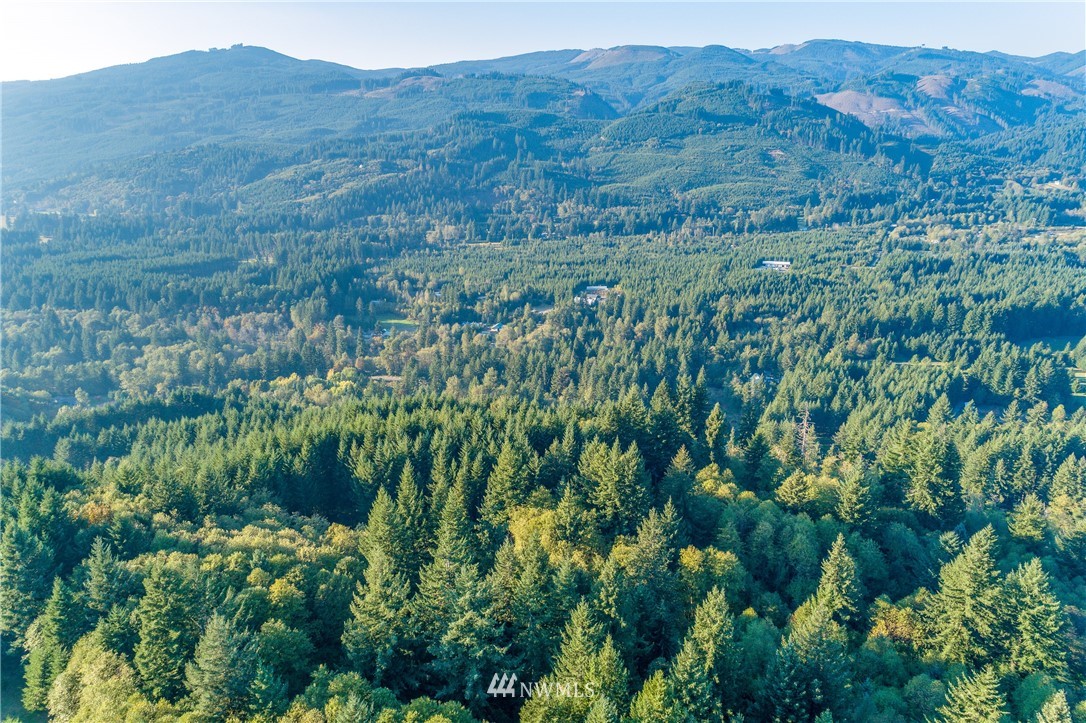 603 Yale Bridge Road Ariel, WA 98603 - Photo 15 of 28 Gallery Image 15