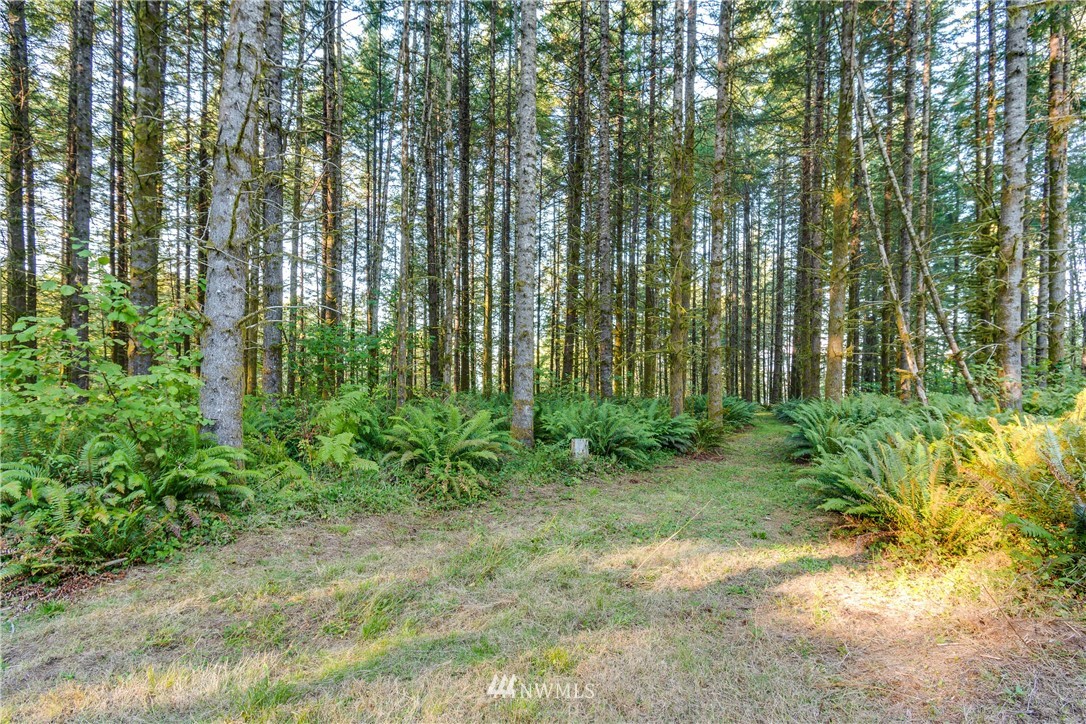 603 Yale Bridge Road Ariel, WA 98603 - Photo 3 of 28 Gallery Image 3