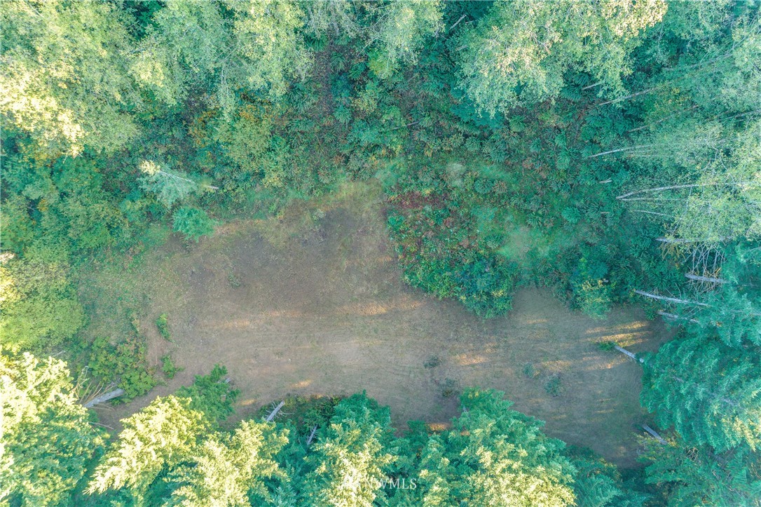 603 Yale Bridge Road Ariel, WA 98603 - Photo 25 of 28 Gallery Image 25