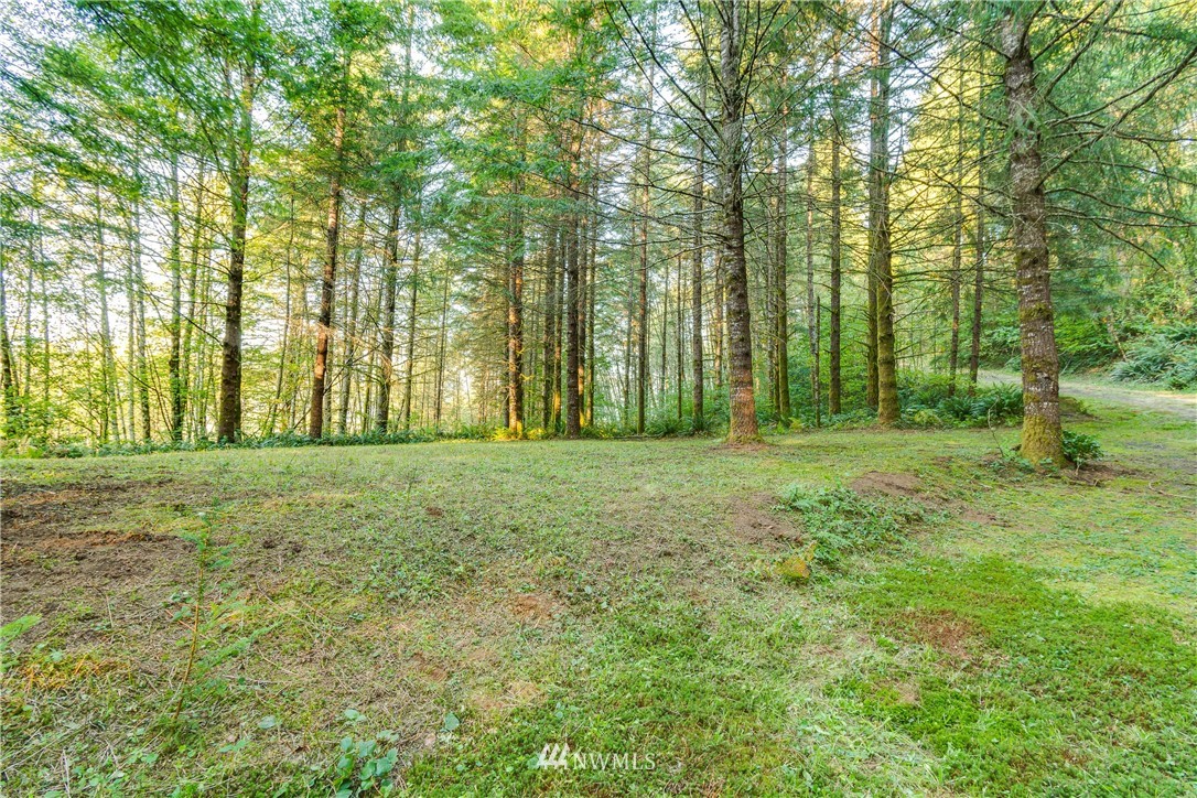 603 Yale Bridge Road Ariel, WA 98603 - Photo 28 of 28 Gallery Image 28