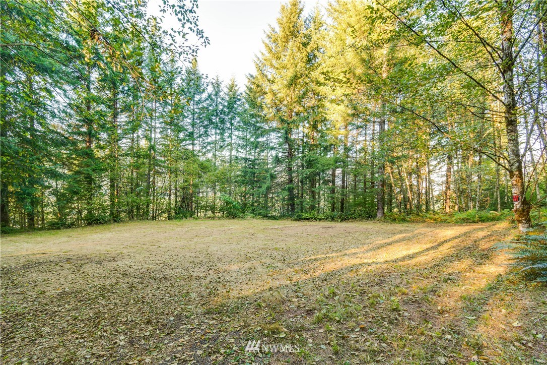 603 Yale Bridge Road Ariel, WA 98603 - Photo 4 of 28 Gallery Image 4