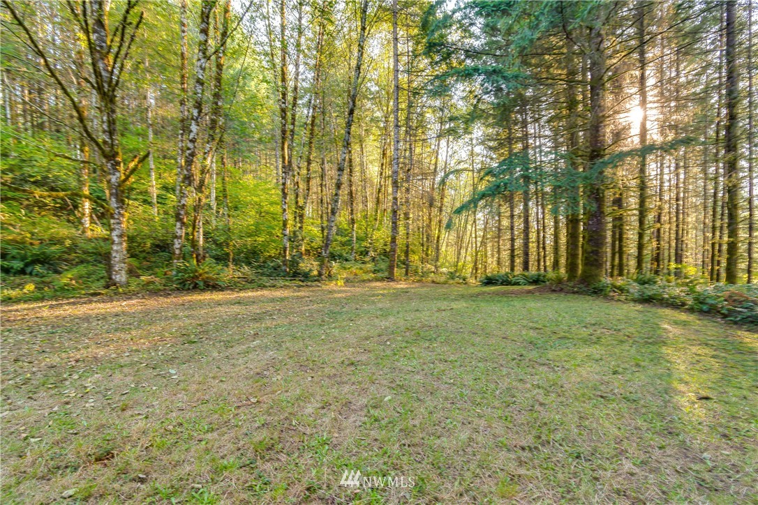 603 Yale Bridge Road Ariel, WA 98603 - Photo 6 of 28 Gallery Image 6