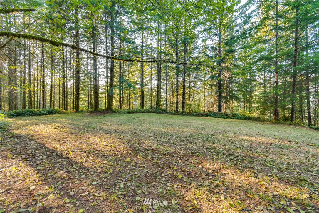603 Yale Bridge Road Ariel, WA 98603 - Photo 7 of 28 Gallery Image 7