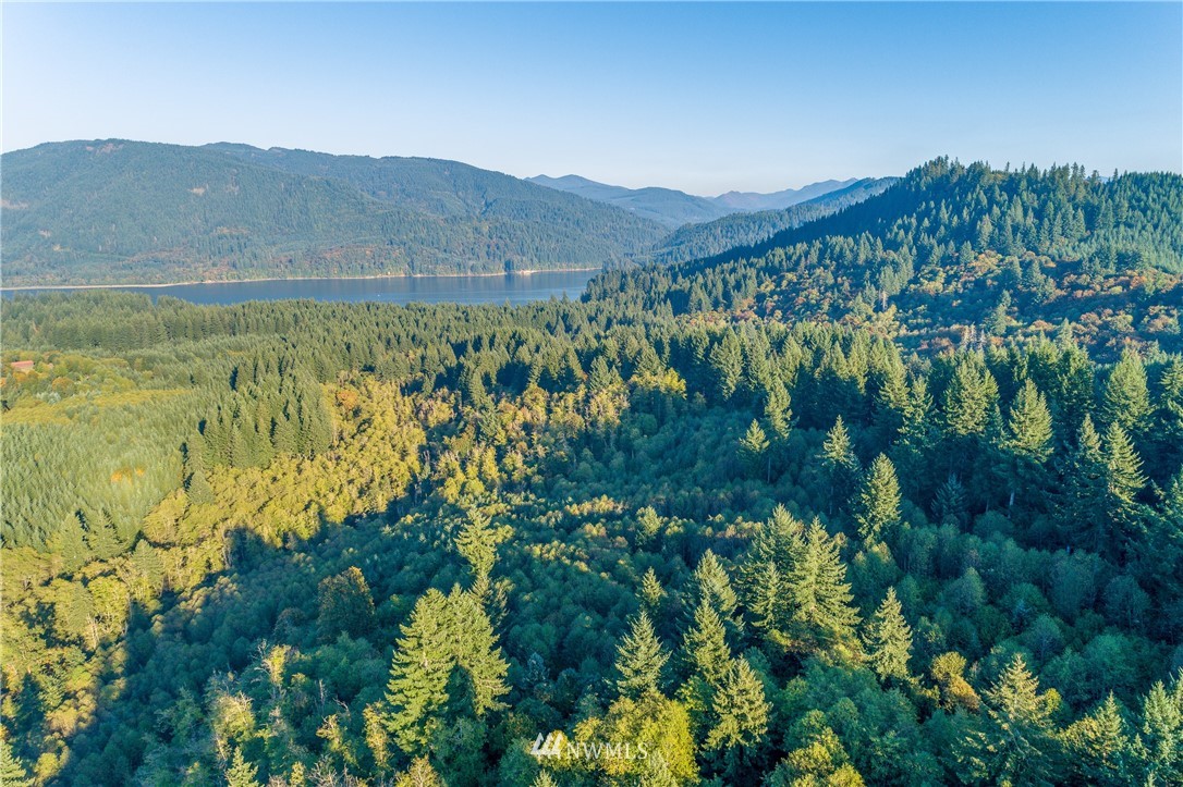 603 Yale Bridge Road Ariel, WA 98603 - Photo 10 of 28 Gallery Image 10
