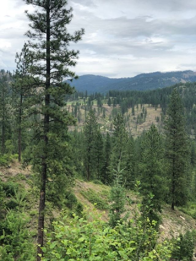 Xxx Price Road Kettle Falls, WA 99141 - Photo 2 of 7 Gallery Image 2