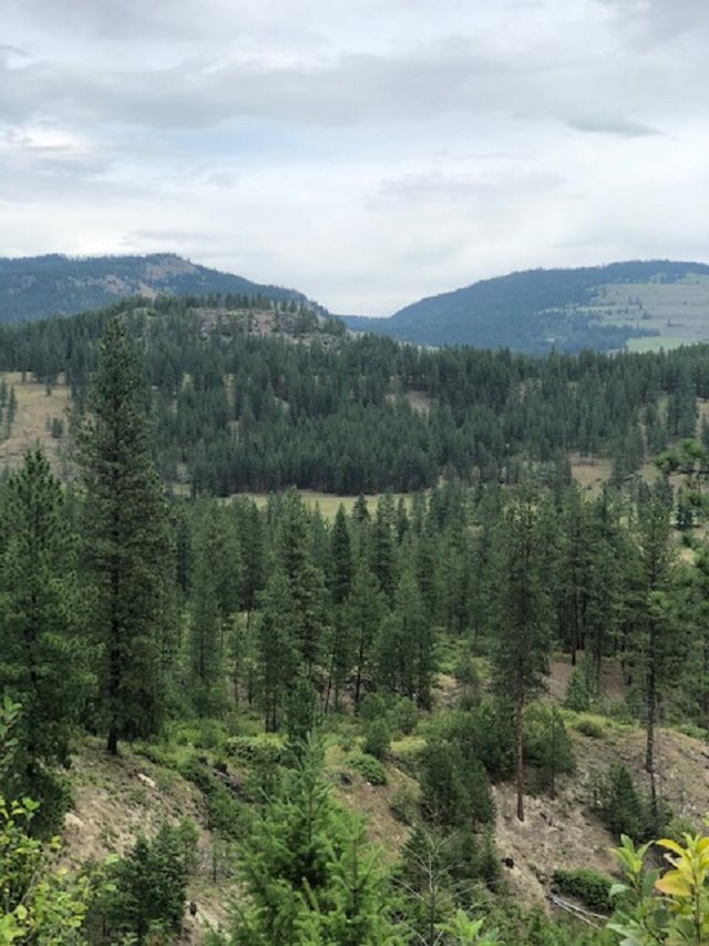 Xxx Price Road Kettle Falls, WA 99141 - Photo 3 of 7 Gallery Image 3