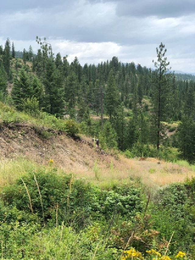 Xxx Price Road Kettle Falls, WA 99141 - Photo 5 of 7 Gallery Image 5