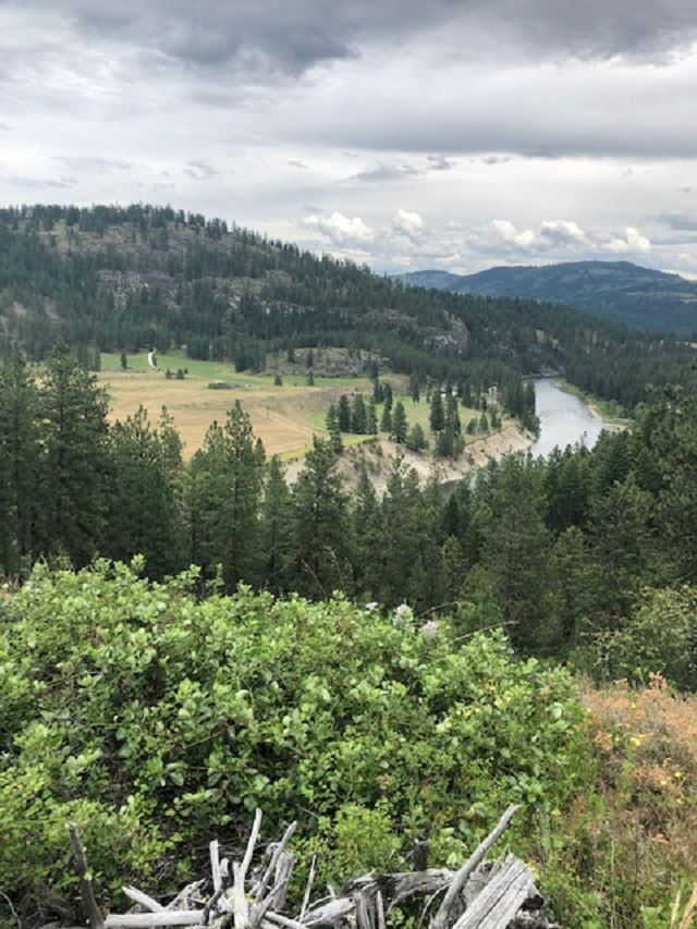 Xxx Price Road Kettle Falls, WA 99141 - Photo 6 of 7 Gallery Image 6